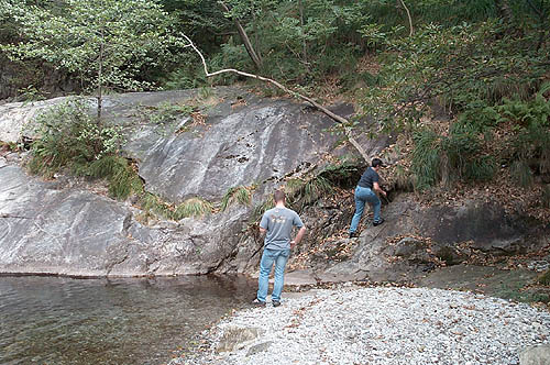 100_0953.jpg
