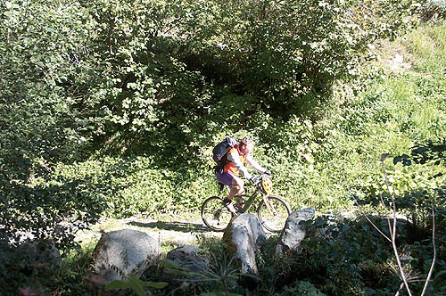 100_0988.jpg