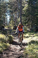 100_1011.jpg