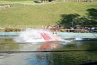 100_1185.jpg