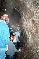 100_1207.jpg