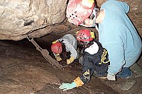 100_1231.jpg