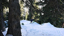 p1020563.jpg