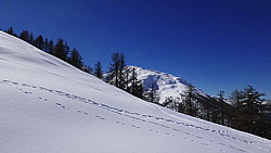 p1020564.jpg