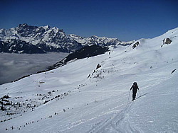 img_9382.jpg