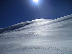 img_9397.jpg