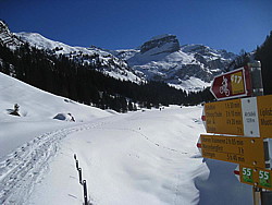 img_9413.jpg