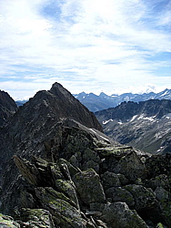 img_7984.jpg