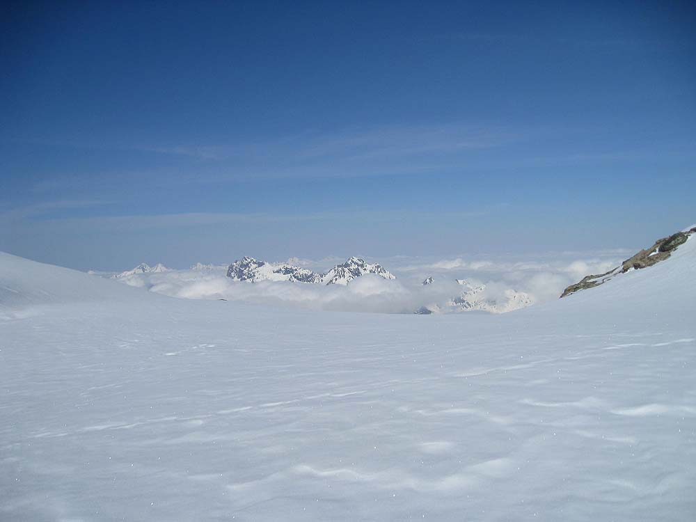 img_2504.jpg