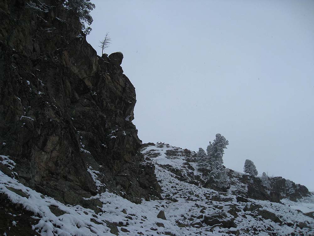 img_2568.jpg