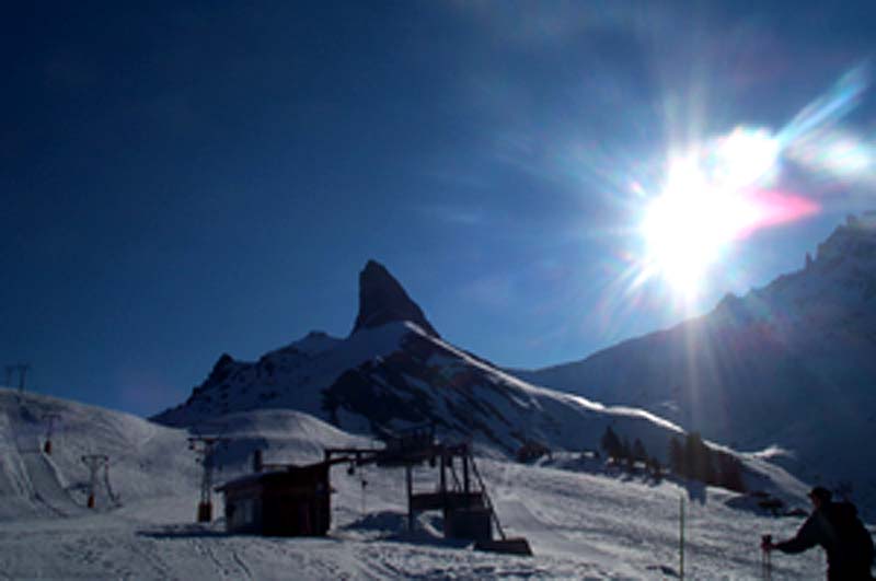 dcp_3882.jpg