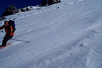 dcp_3943.jpg