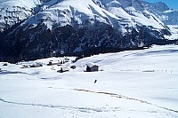 dcp_6319.jpg