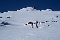 dcp_6384.jpg