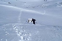dcp_6399.jpg