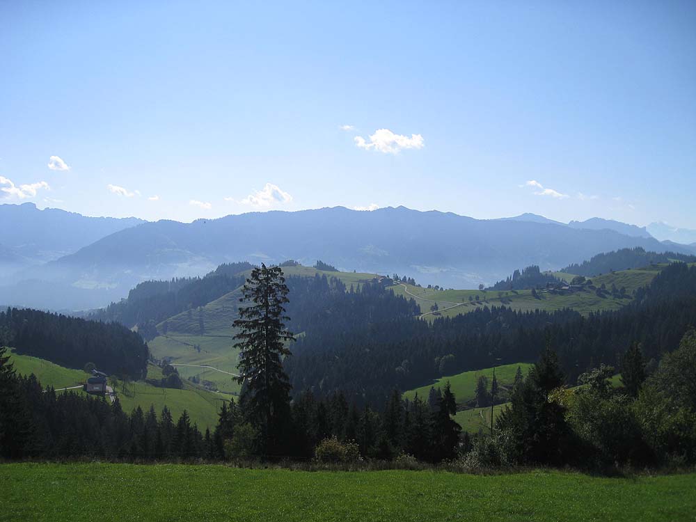 img_5325.jpg