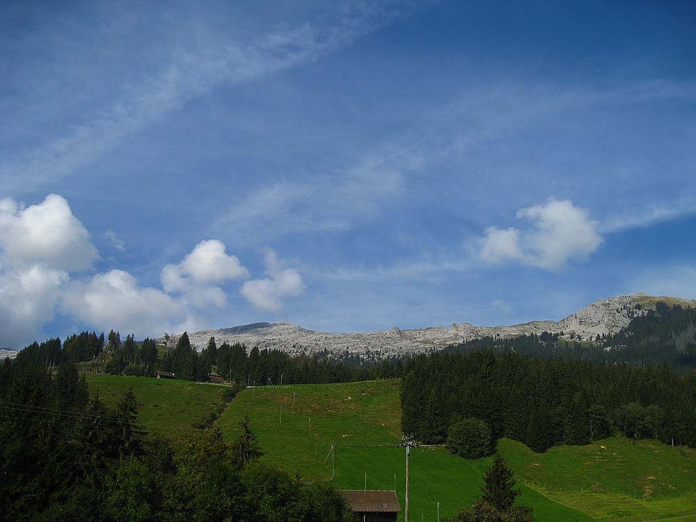 img_5344.jpg