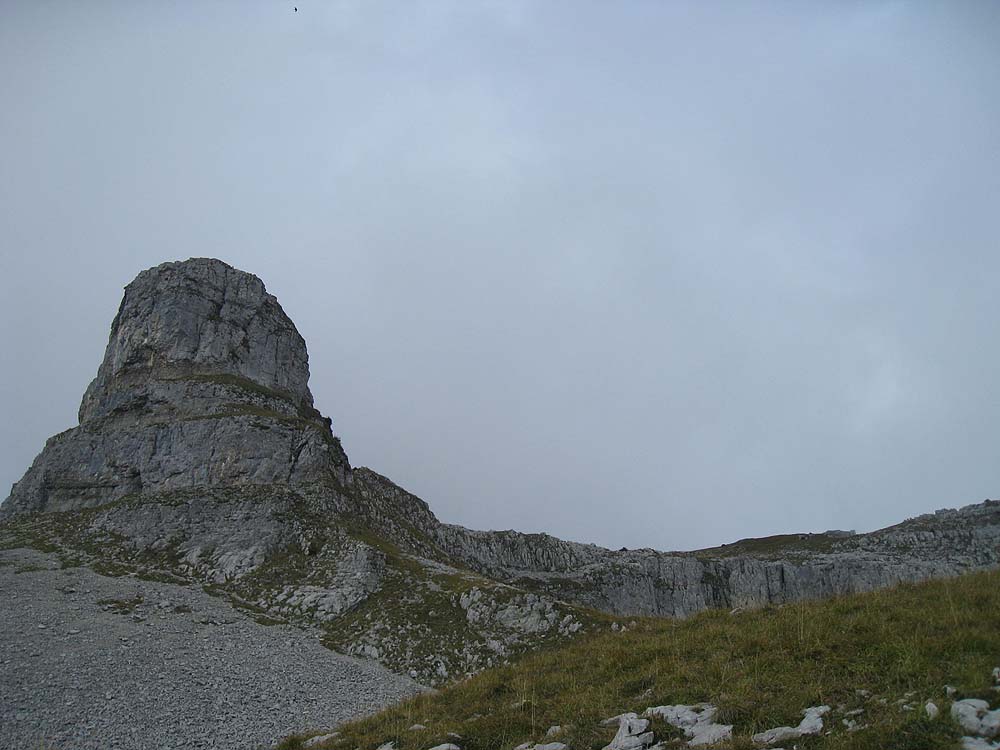 img_5349.jpg