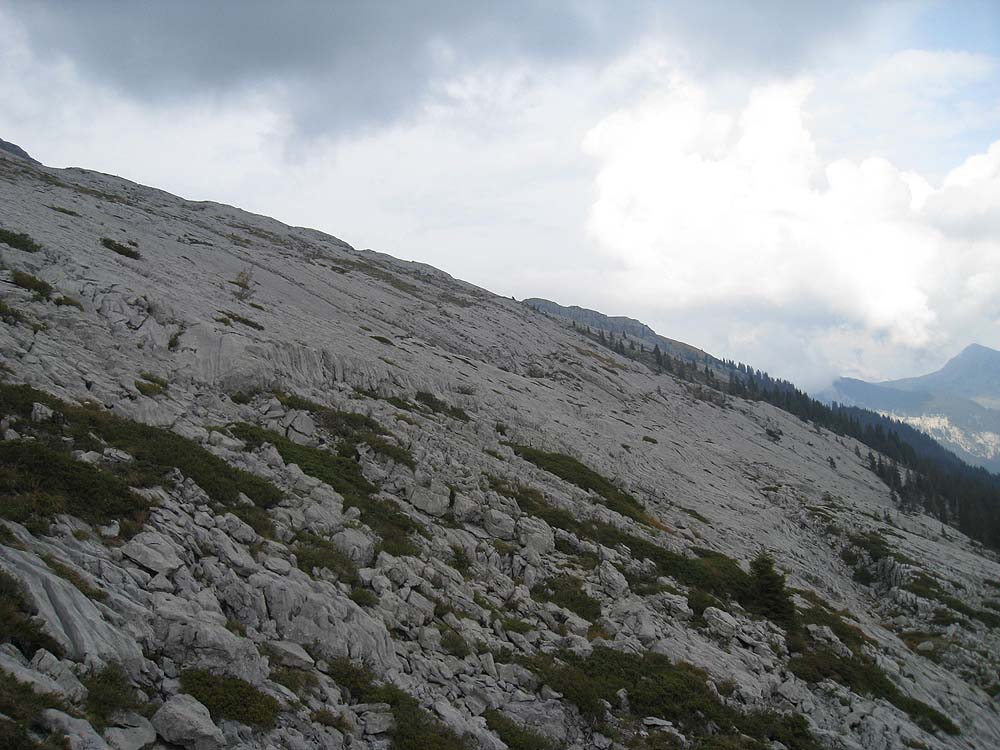 img_5392.jpg