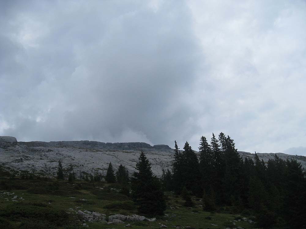 img_5394.jpg