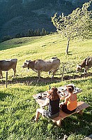 100_0539.jpg