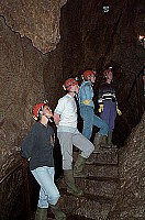 100_0559.jpg