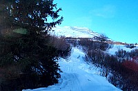 dcp_6070.jpg