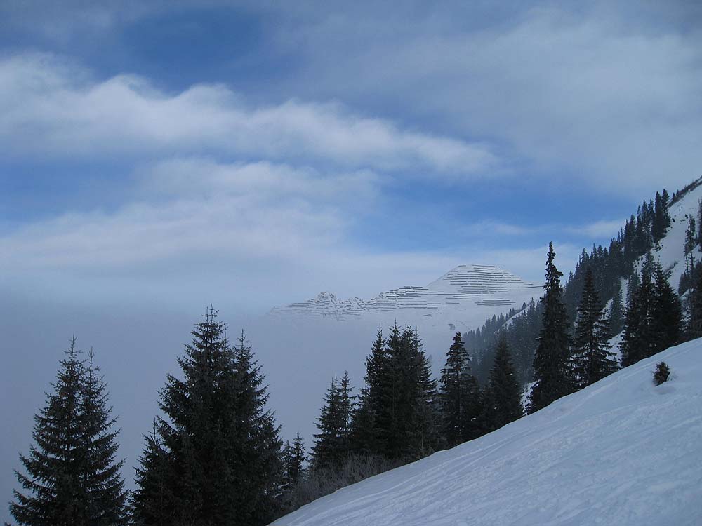 img_6206.jpg