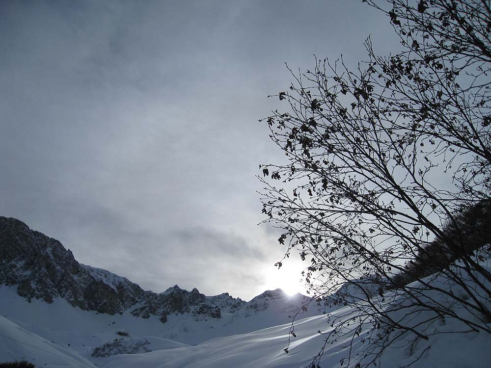 img_6217.jpg