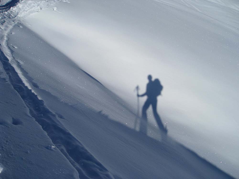 img_6364.jpg