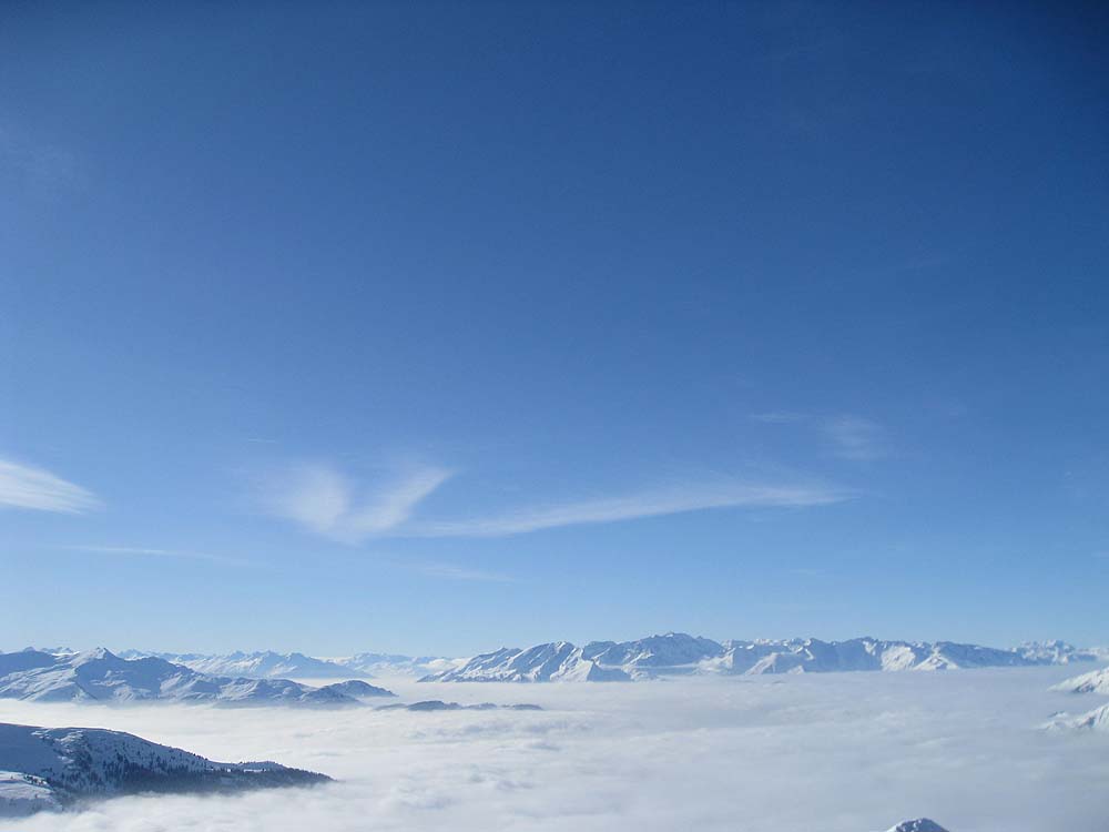 img_6444.jpg