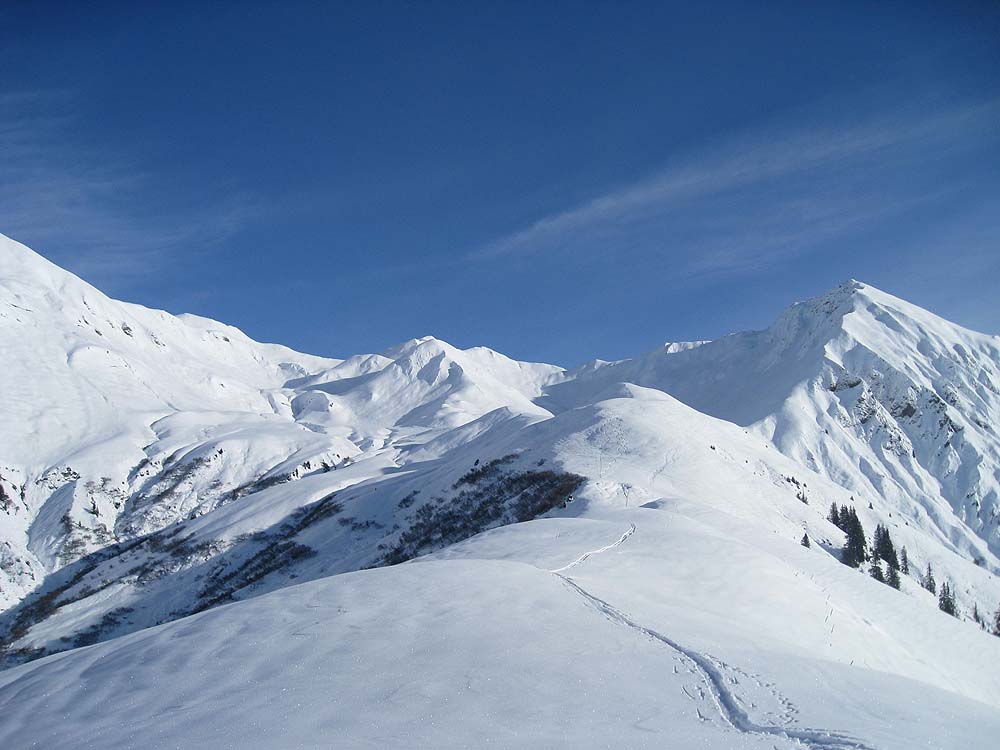 img_6451.jpg