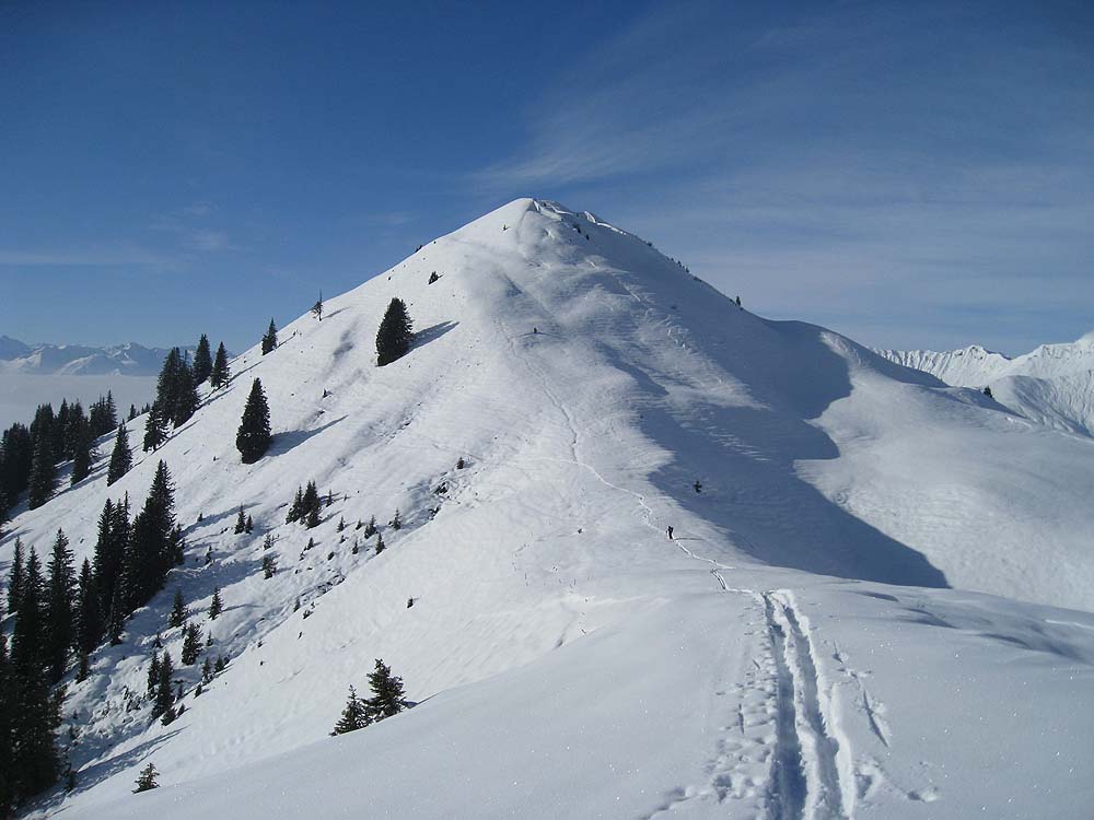 img_6452.jpg