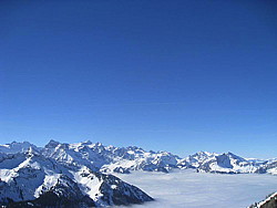 img_9332.jpg