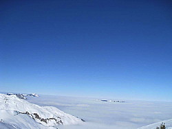 img_9335.jpg