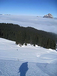 img_9341.jpg
