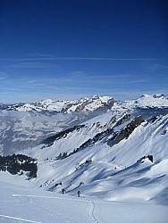 img_9345.jpg