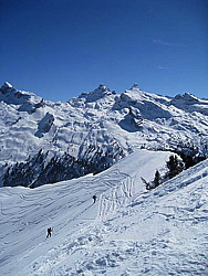 img_9350.jpg