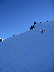 img_9372.jpg