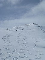 img_1901.jpg