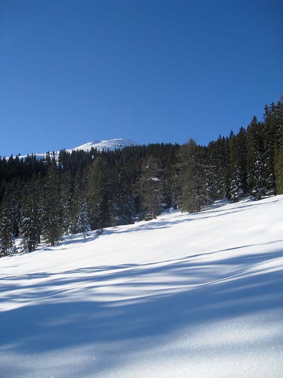 img_5947.jpg