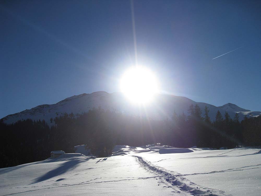 img_5966.jpg