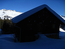 img_5943.jpg