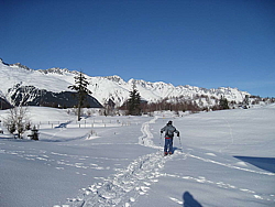 img_5967.jpg