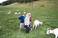100_1105.jpg