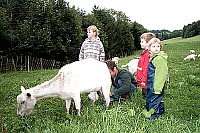 100_1107.jpg