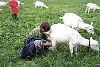 100_1108.jpg