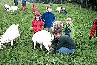100_1109.jpg