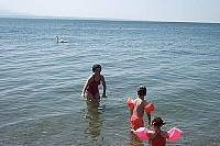 100_1135.jpg