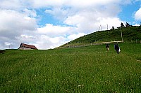 dcp_2400.jpg